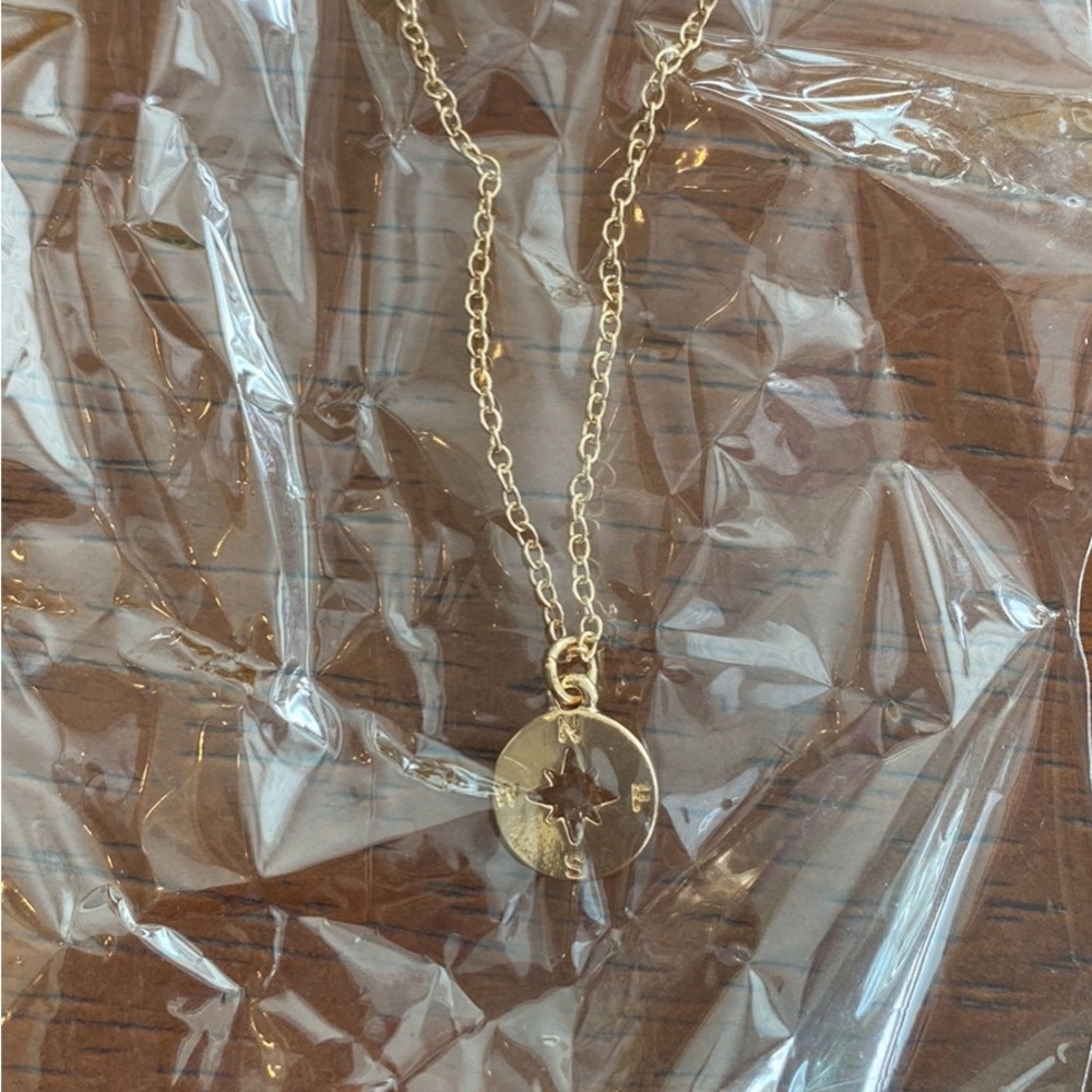 Pink Lily Gold Compass Necklace